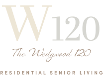 The Wedgwood 120 Logo