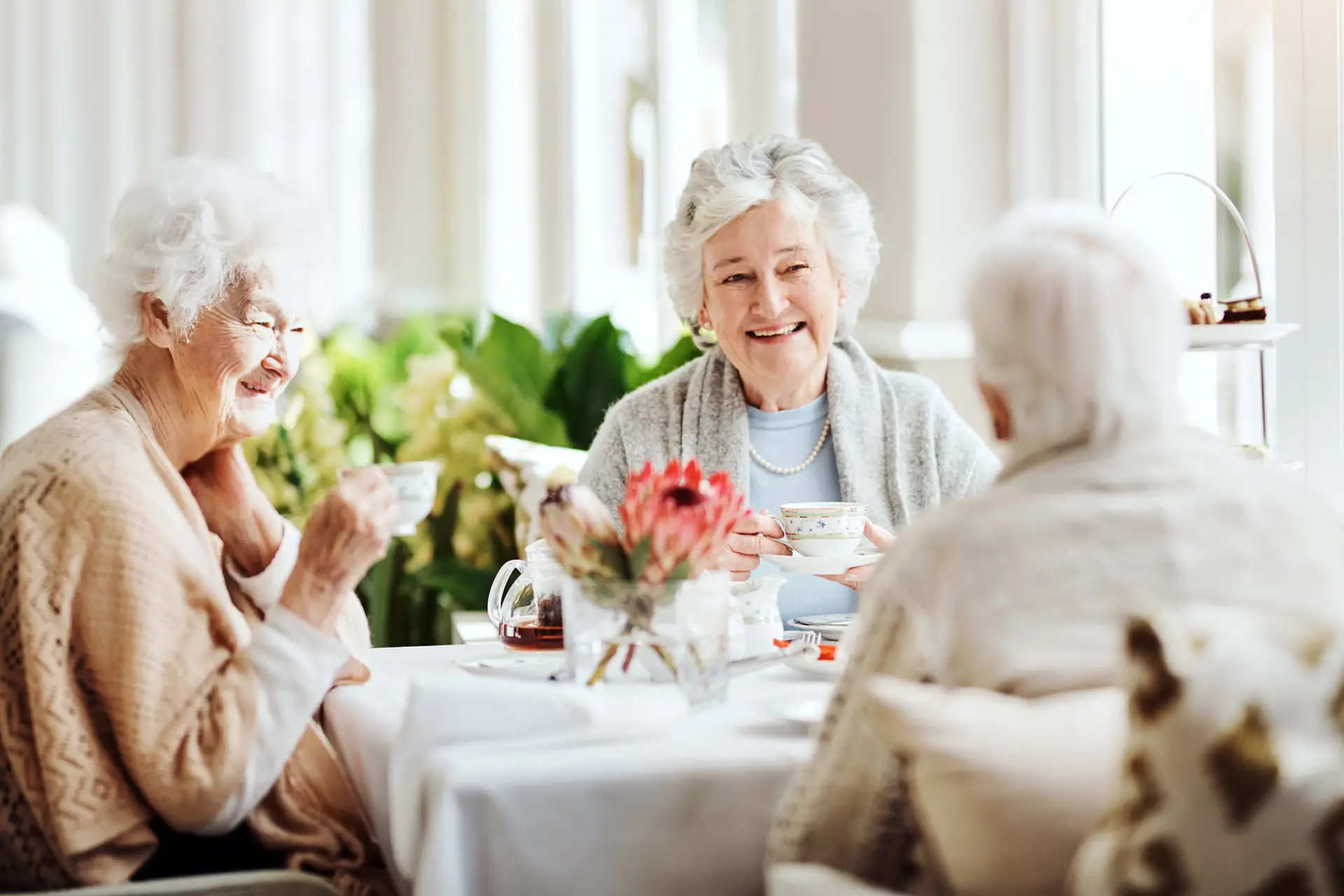Happy senior women having tea together